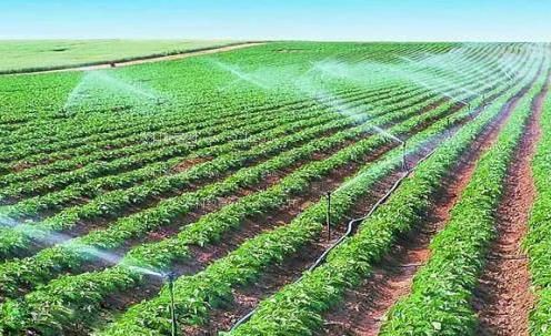 超污啪啪啪嫩逼网站农田高 效节水灌溉